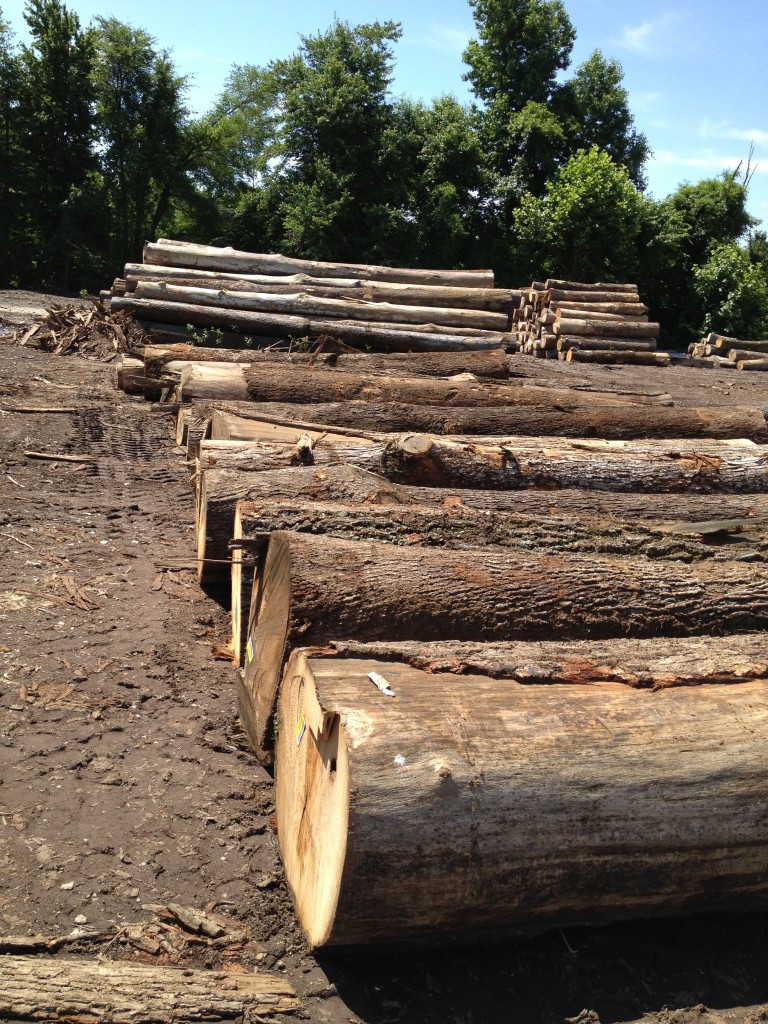 Log scaling