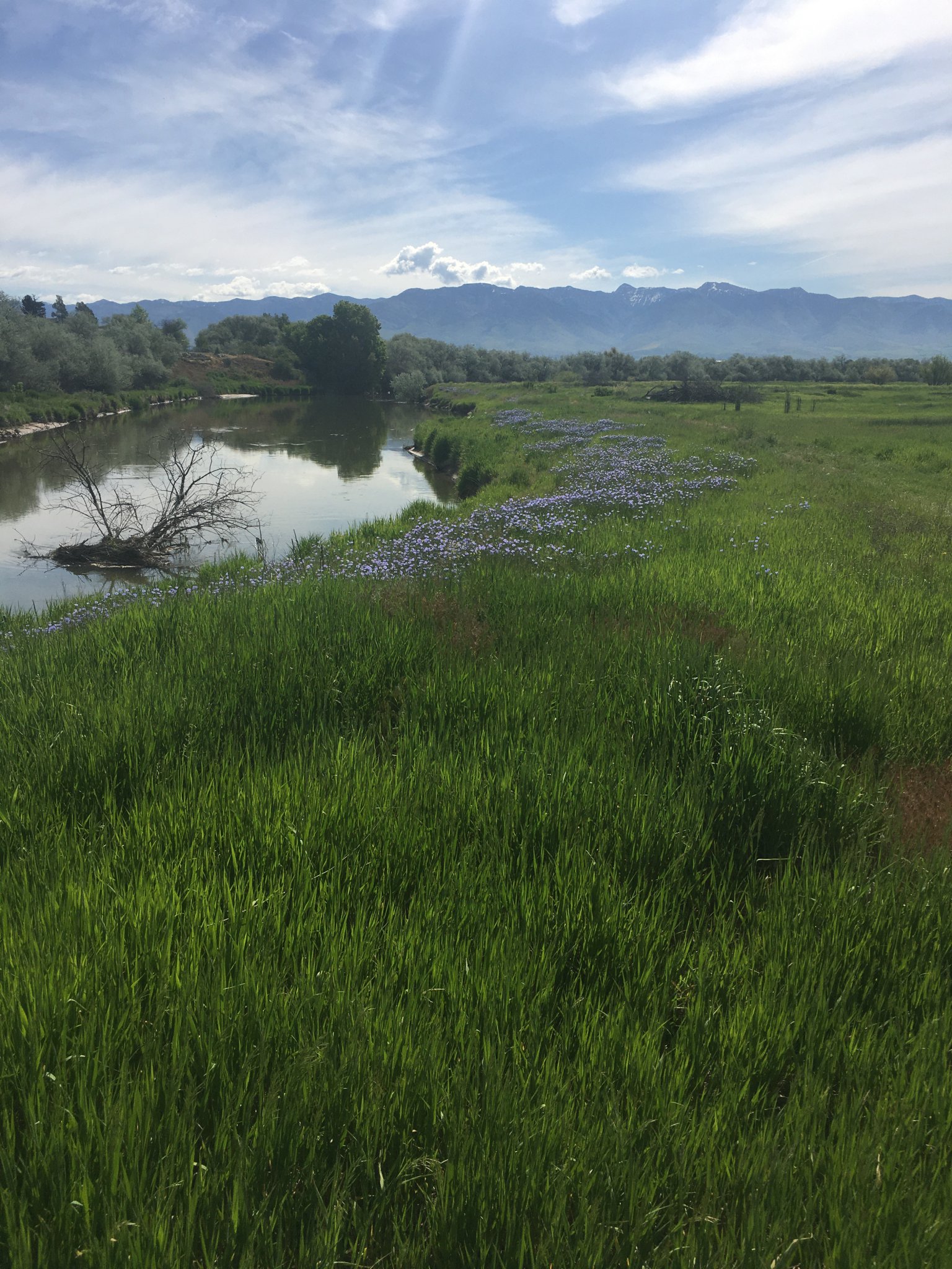 Success with Uinta Bear River Land Conservancy’s experience with
