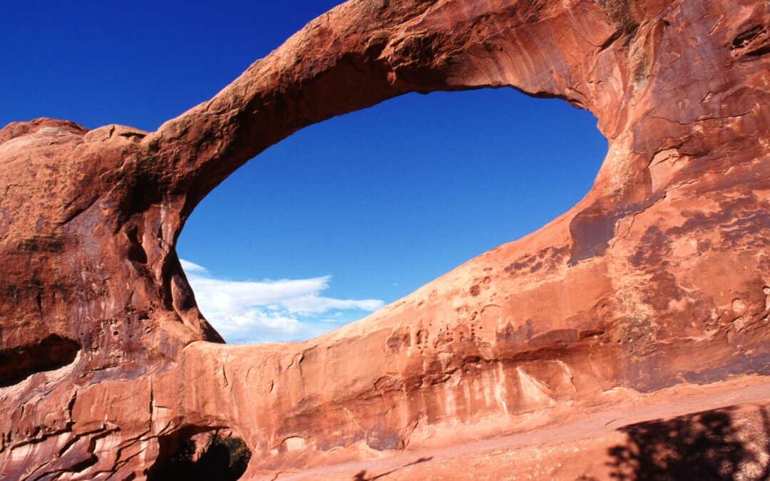 Strength with Purpose: The Origin of the Archer Rugged Handheld